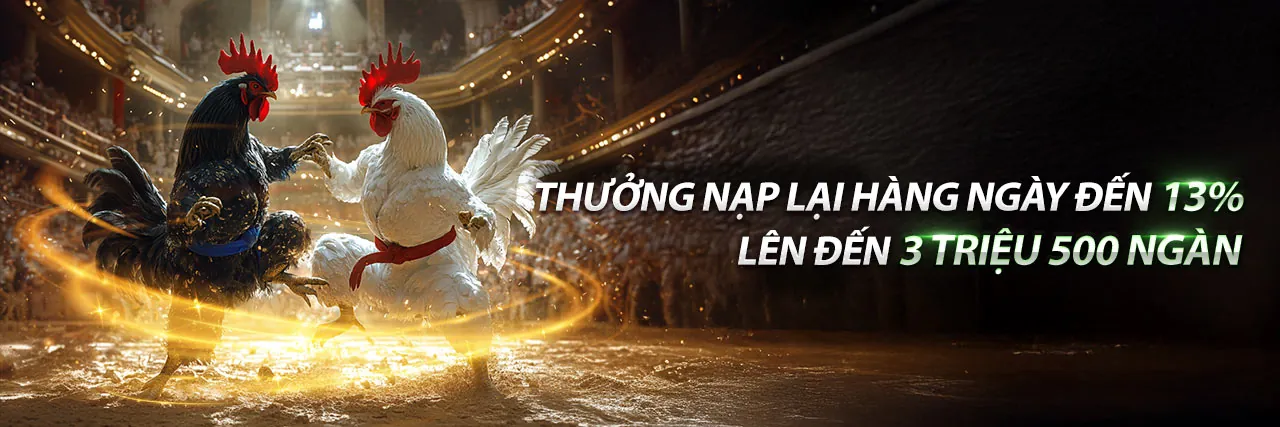 Sân đấu đá gà kịch tính tại banca29 nhà cái